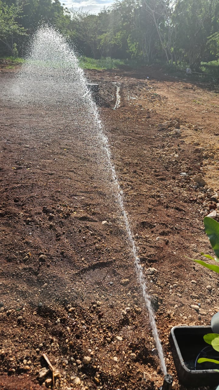 WhatsApp Image 2025-11-26 at 10.50.44 AM